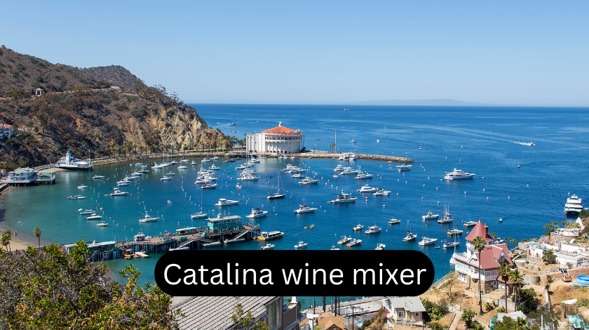catalina wine mixer